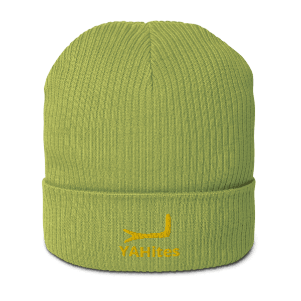 Arm of YAH Organic ribbed beanie - Image 4