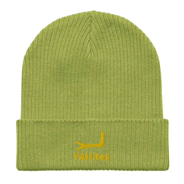 Arm of YAH Organic ribbed beanie - Image 5