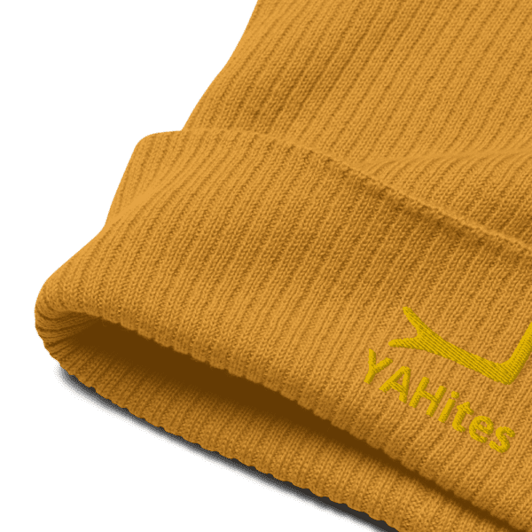Arm of YAH Organic ribbed beanie - Image 27