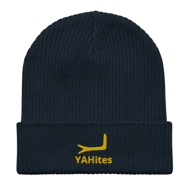 Arm of YAH Organic ribbed beanie - Image 35